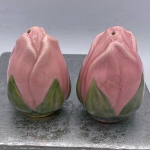 Franciscan Desert Rose Pattern Salt And Pepper Shakers Set